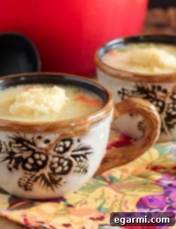 A delicious bowl of Chicken Soup with Dumplings