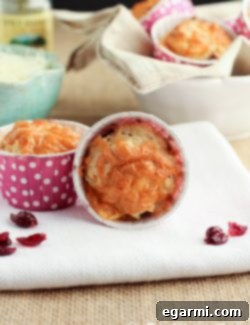 Tangy Cranberry & Savory Cheddar Herb Muffins 2 Final image of a beautifully baked Cheddar Herb Cranberry Muffin, golden and inviting.