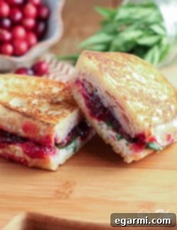 A perfectly grilled Turkey & Cranberry Panini, cut in half to show layers