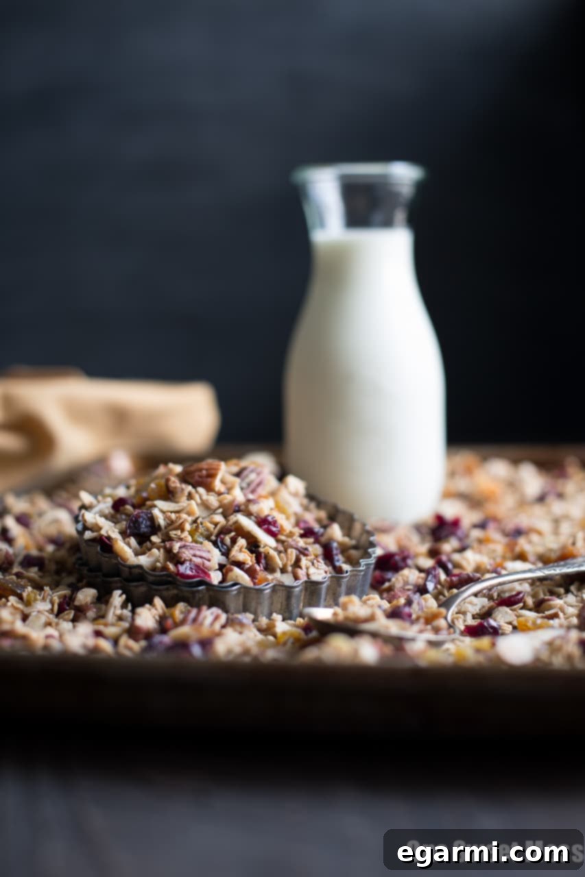 Gluten-Free Vegan Chai Spiced Granola 3 Chai Spiced Granola