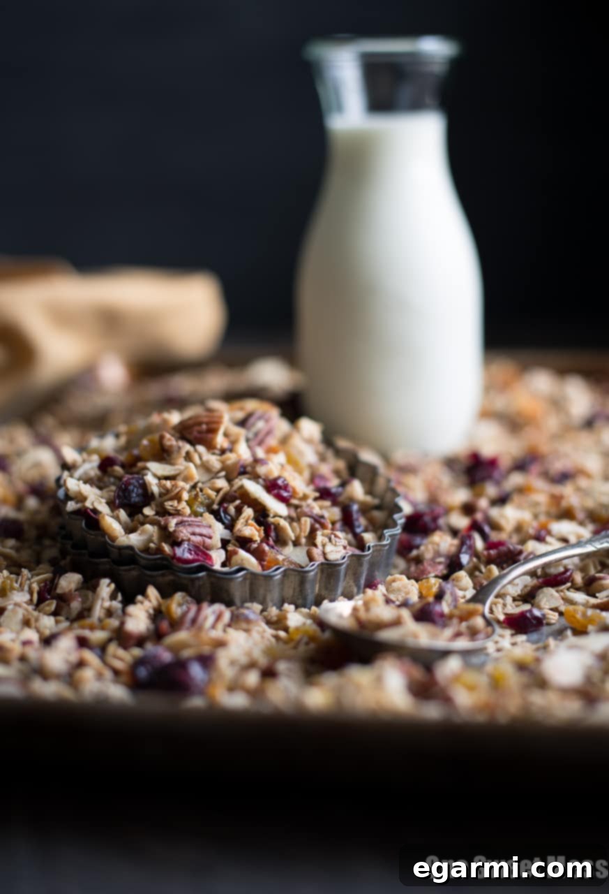 Gluten-Free Vegan Chai Spiced Granola 7 Chai Spiced Granola