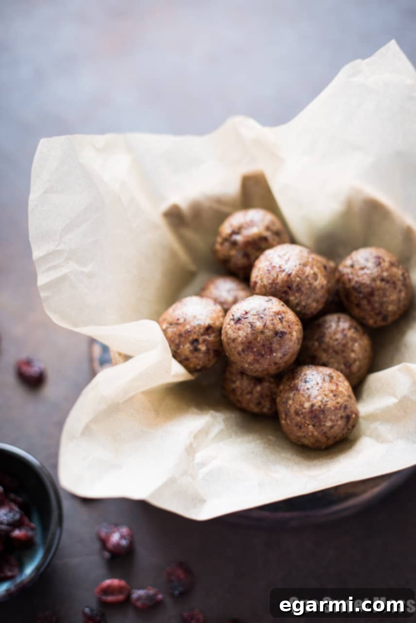 Toasted Pecan Cranberry Energy Bites - Fuel Your Day Naturally