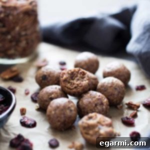 Toasted Pecan Cranberry Energy Bites recipe image