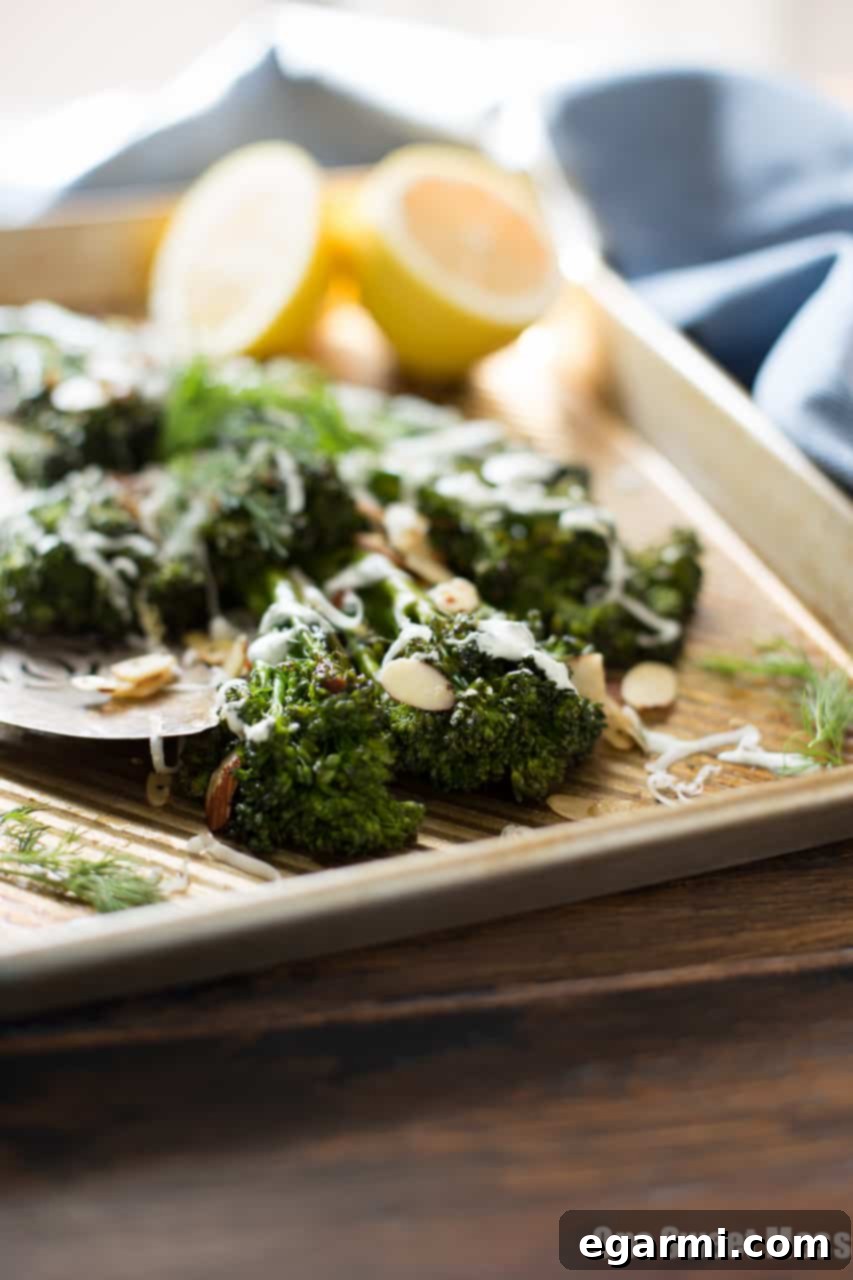 Roasted Broccolini with Dill Yogurt Sauce