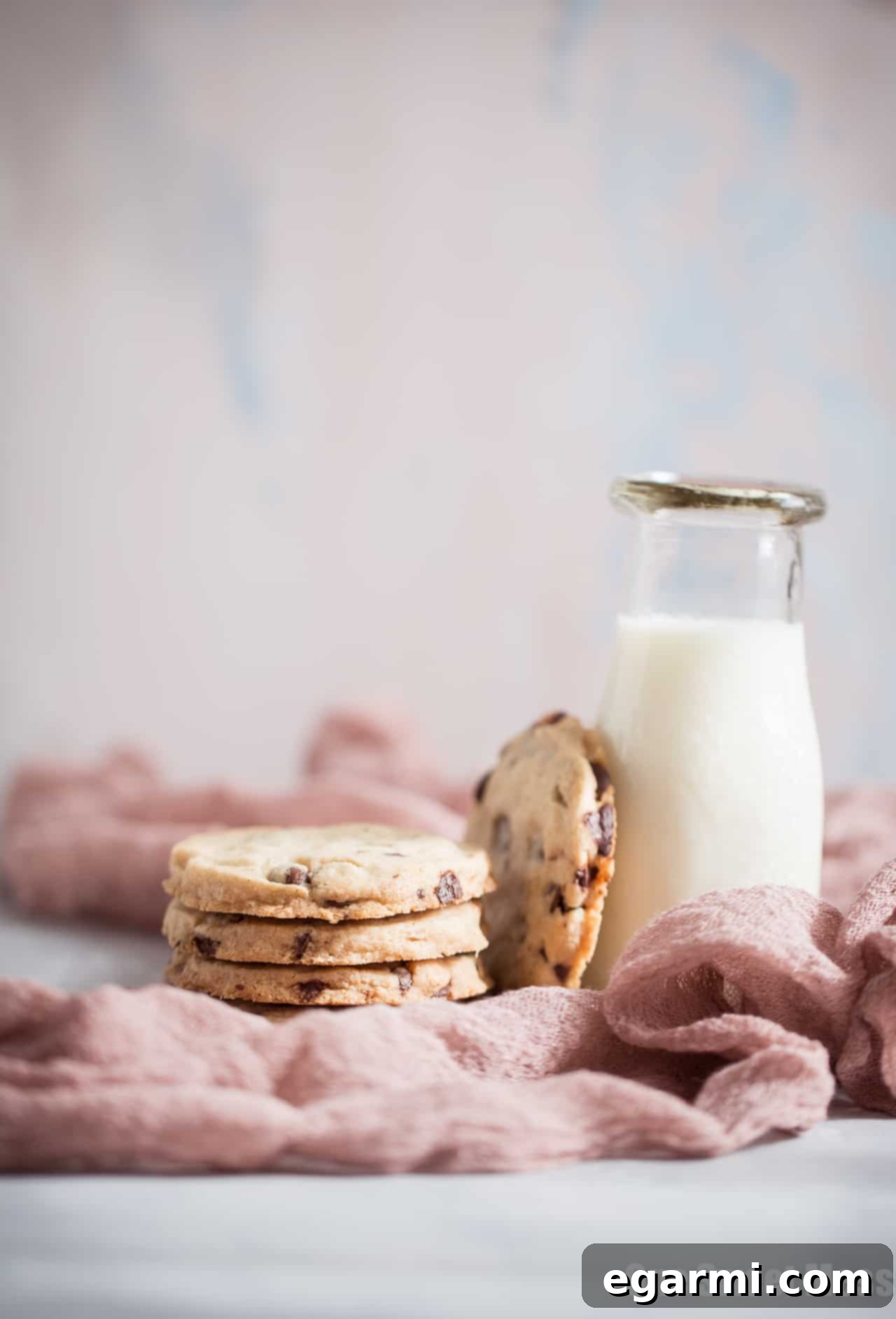 Detailed view of Gluten-Free Chocolate Chip Shortbread Cookies