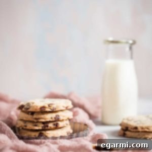 Gluten-Free Chocolate Chip Shortbread Cookies
