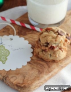 A perfectly golden chocolate chip cookie, rich with chocolate chips, representing the finished recipe.
