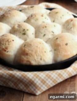Granny's Homemade Rolls 2 img 2274 7