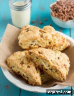 Bake Perfect Eggnog Cinnamon Chip Scones A Tutorial 2 img 4473 12