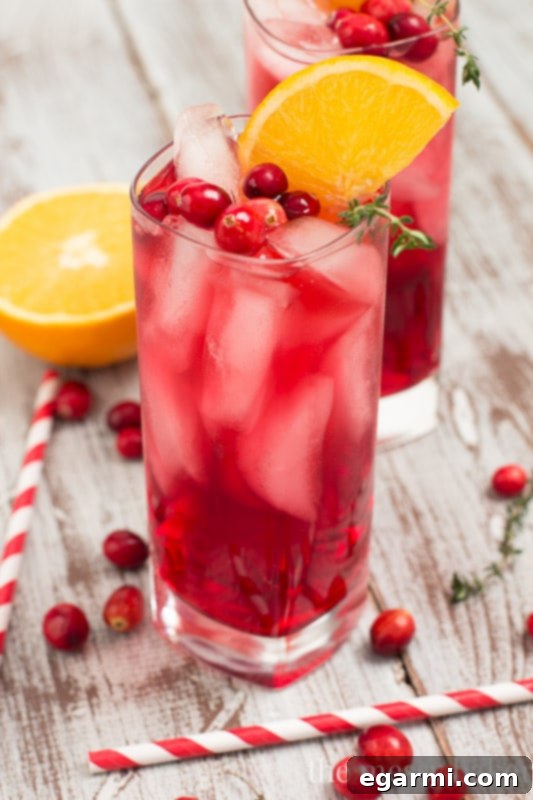 Vibrant Cranberry Orange Gin Fizz with Thyme Garnish