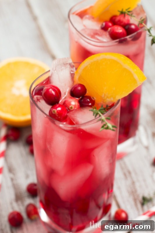 Elegant Cranberry-Orange Gin Fizz Cocktail with Thyme Sprig