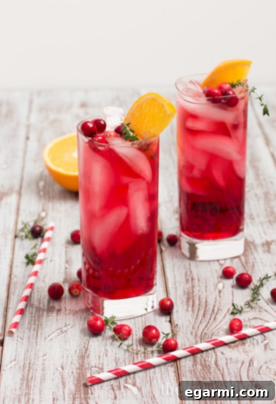 Ingredients laid out for making a Cranberry Orange Gin Fizz