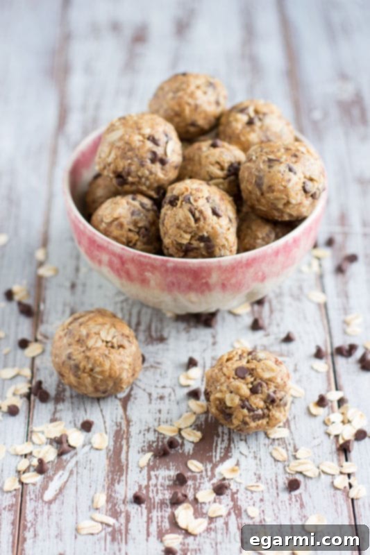 Peanut Butter Oatmeal Bites 5 Ingredients for Peanut Butter Oat Balls, including oats, peanut butter, honey, and chocolate chips in bowls.