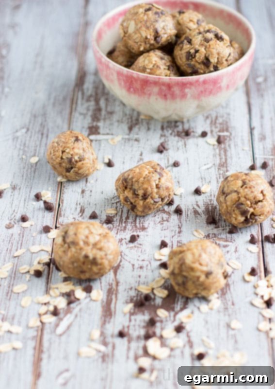 Peanut Butter Oatmeal Bites 8 Hand holding a Peanut Butter Oat Ball, showing its inviting texture and chocolate chips.
