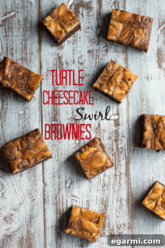 Turtle Cheesecake Swirl Brownies from www.themessybakerblog.com