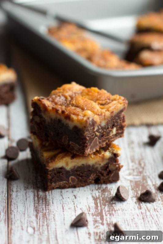 Turtle Cheesecake Swirl Brownies from www.themessybakerblog.com