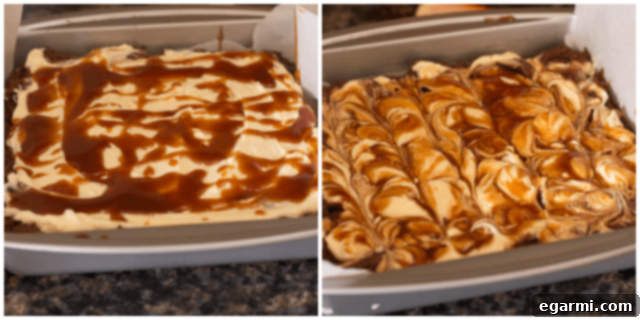 Turtle Cheesecake Swirl Brownies from www.themessybakerblog.com