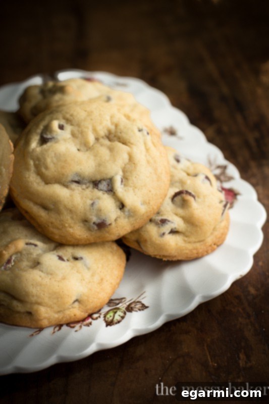 Close-up of a warm, gooey chocolate chip cookie with a slightly crispy edge.
