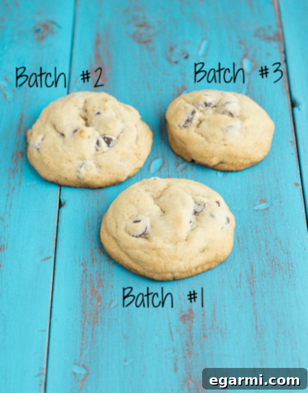 Three batches of chocolate chip cookie dough ready for baking, showcasing the experiment.