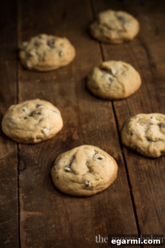 Freshly baked soft and chewy chocolate chip cookies cooling on a wire rack.