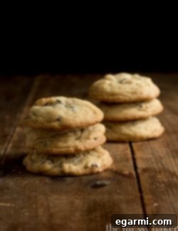 A stack of freshly baked Soft Batch Triple Chocolate Cookies
