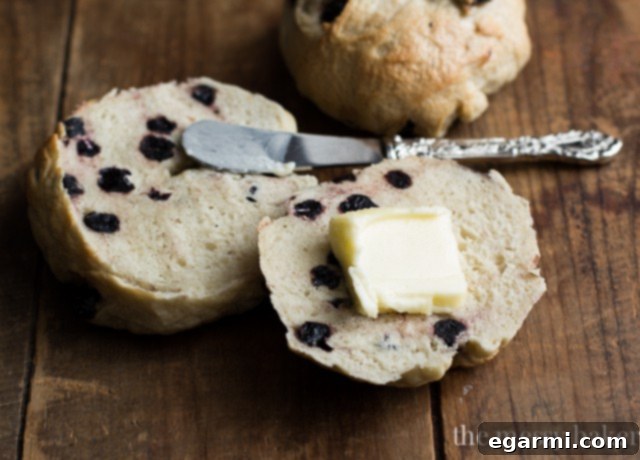 Toasted Honey Wheat Blueberry Bagels with butter