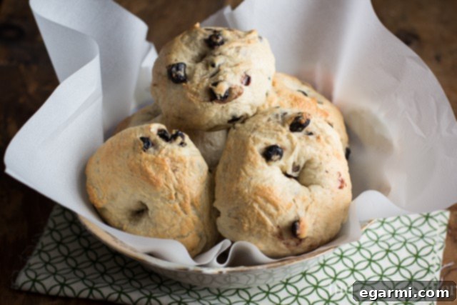 Closeup of freshly baked Honey Wheat Blueberry Bagels
