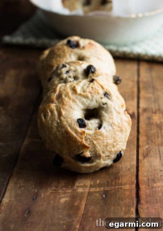 Delicious Homemade Honey Wheat Blueberry Bagels
