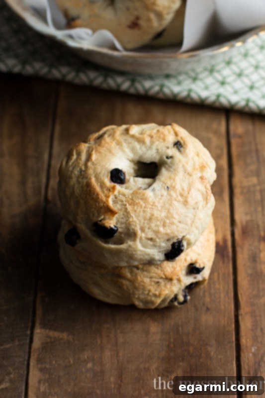 Freshly baked honey wheat blueberry bagels cooling on a wire rack after baking.