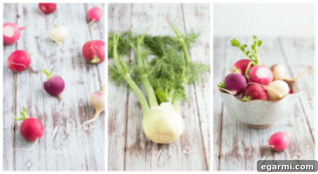 Bright Fennel Radish Salad with Cherry Balsamic 4 Fennel Bulb and Fronds - A beautiful head of fresh fennel, ready to be prepared for a delicious and healthy salad recipe.