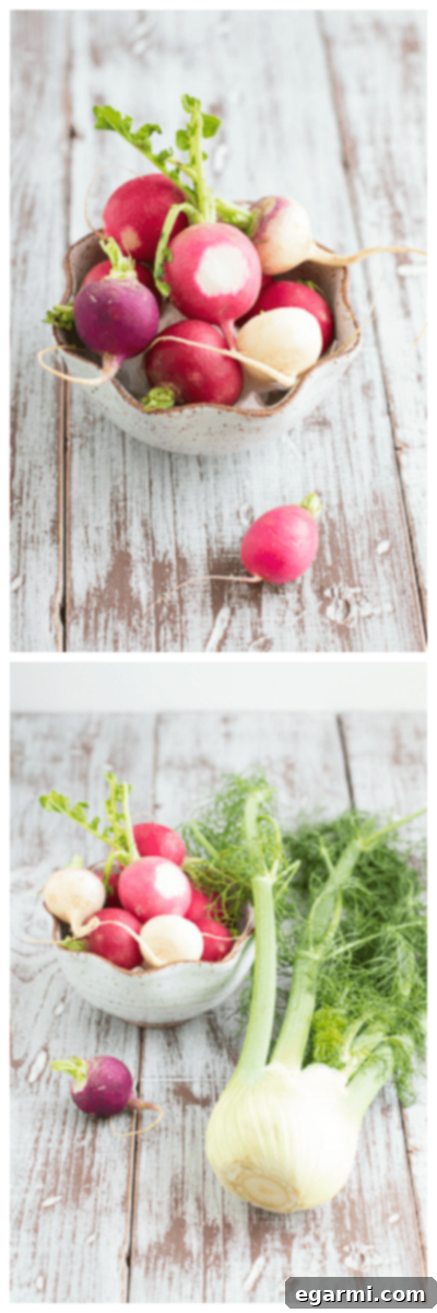 Bright Fennel Radish Salad with Cherry Balsamic 6 Dried Cherries for Salad - Adding sweet dried cherries to a fresh spring salad for a burst of flavor and a chewy texture.