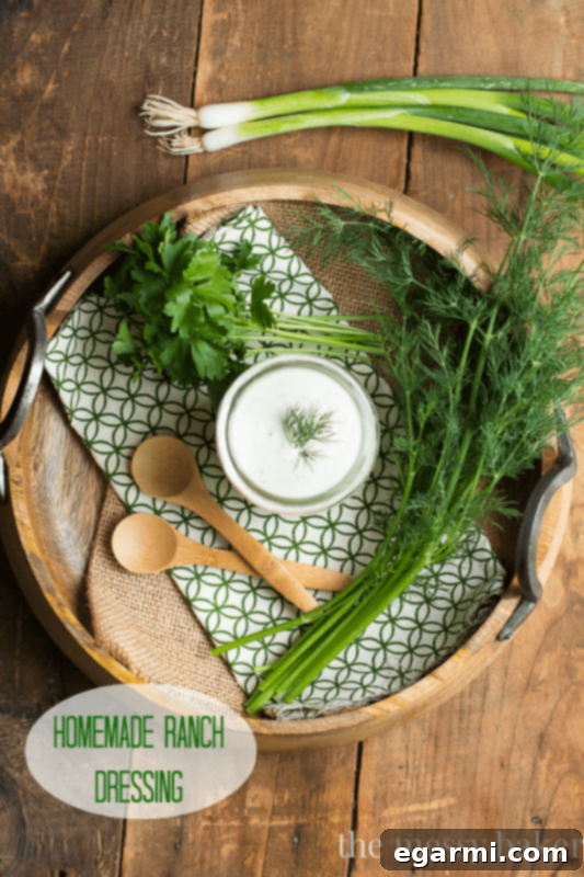 Homemade Buttermilk Ranch Dressing: Creamy, Tangy, and Bursting with Fresh Herbs
