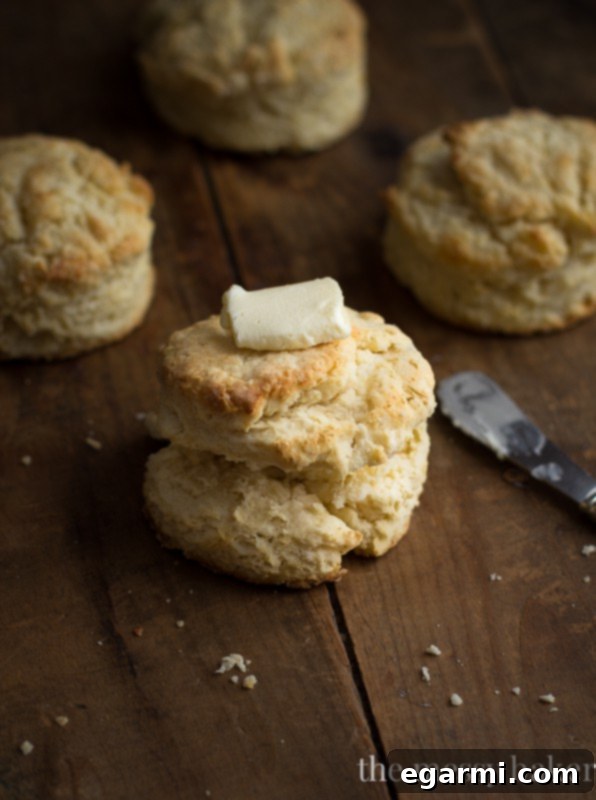 Overhead view of several homemade mile-high buttermilk biscuits on a white platter, invitingly presented.