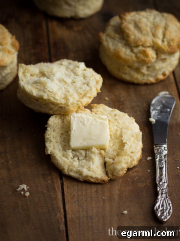 A side view of tall, golden brown buttermilk biscuits baking on a sheet pan in the oven.