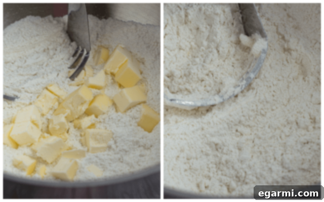 Cold butter cubes being cut into a bowl of dry ingredients using a pastry cutter, forming a crumbly mixture.