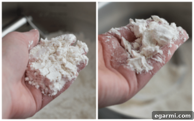 Close-up of biscuit dough with butter cut in, showing a coarse crumb texture.