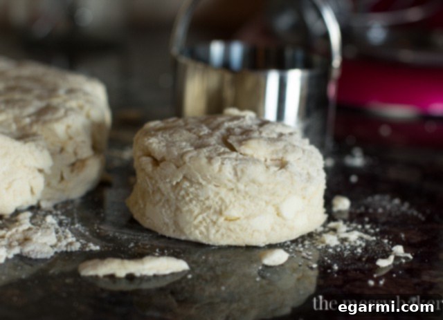 Biscuit dough being cut into rounds using a biscuit cutter on a lightly floured surface.