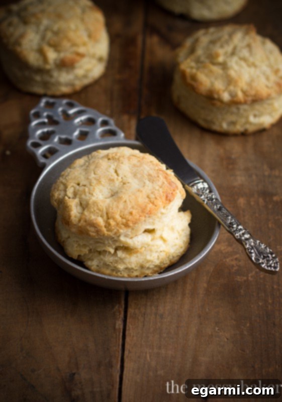 Freshly baked, tall buttermilk biscuits with golden brown tops cooling on a wire rack.