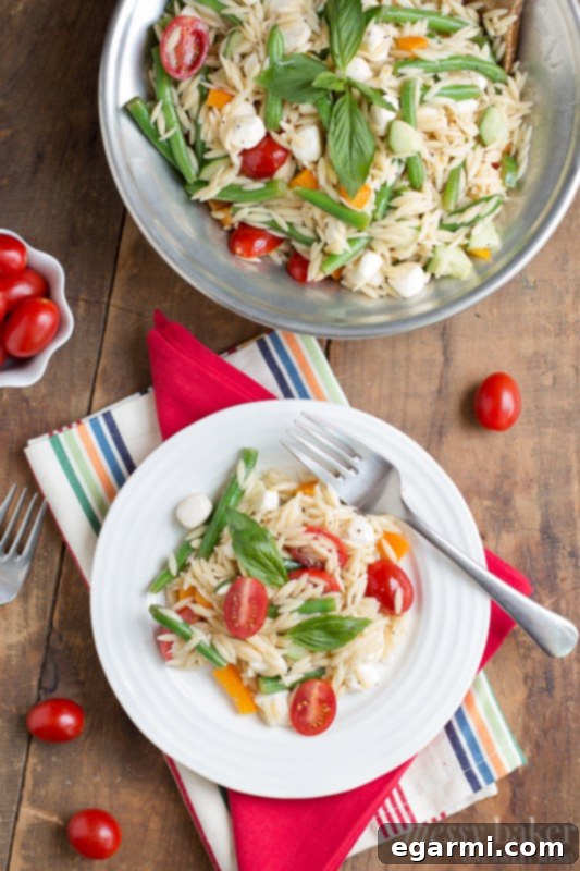 Delicious Orzo Pasta Salad with Mozzarella and Fresh Basil