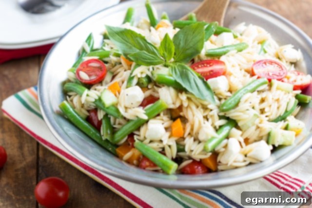 Colorful Summer Orzo Salad with Garden Vegetables