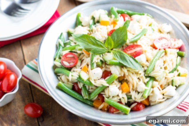 Orzo Salad with Red Wine Vinaigrette and Fresh Herbs