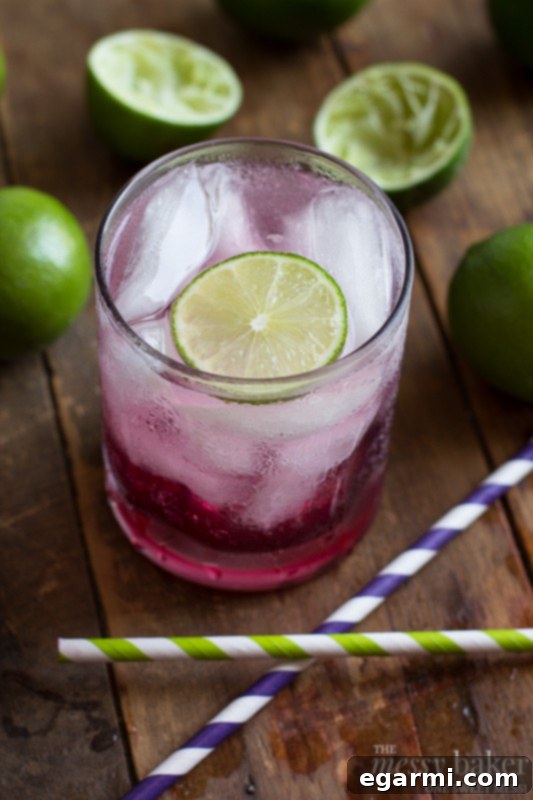 Refreshing Blackberry-Lime Gin Fizz cocktail served in a tall glass