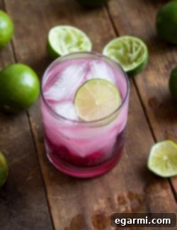 A perfectly prepared Blackberry-Lime Gin Fizz cocktail with fresh lime and berries