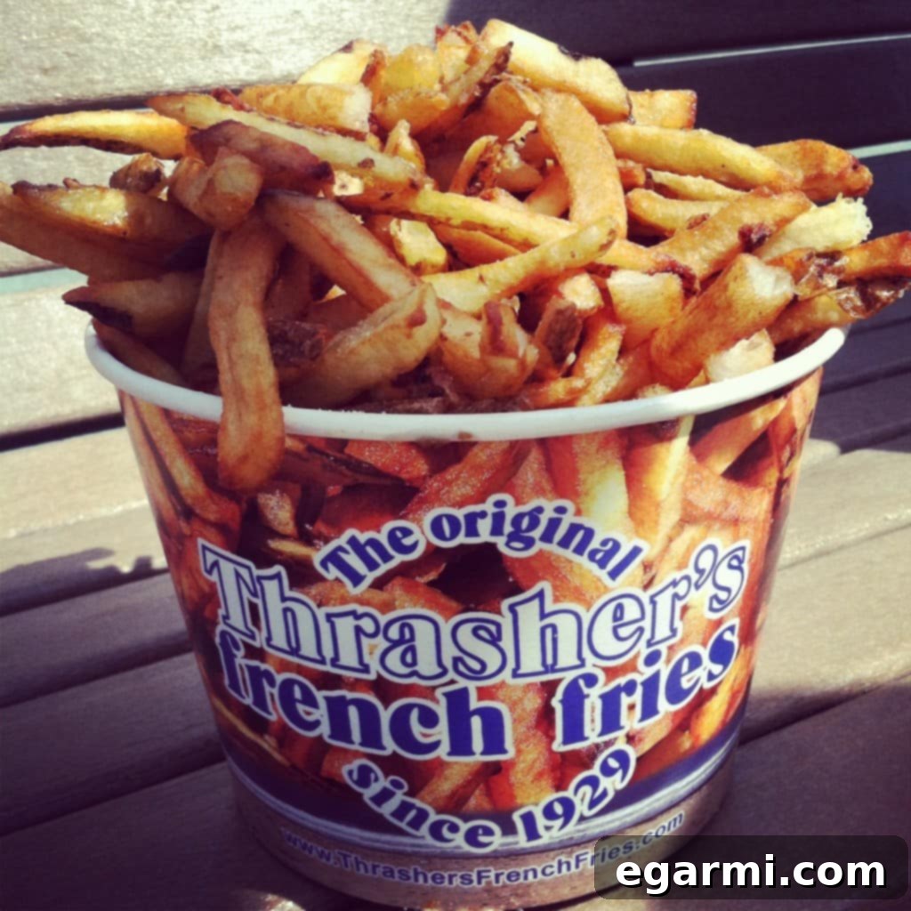 Delicious fries for a beach snack