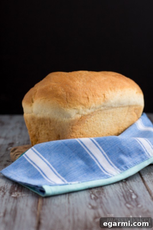 Simple White Bread Loaf with Golden Crust | Delicious Homemade Bread
