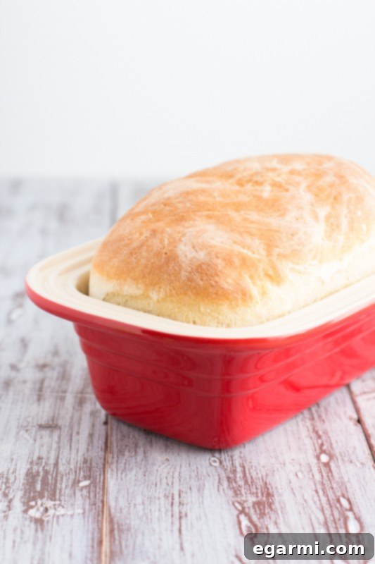 Homemade Dinner Rolls Fresh from the Oven | Soft and Fluffy Bread