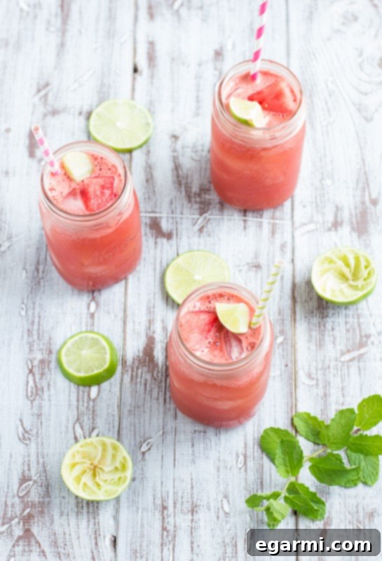 Watermelon Mint Cooler Ingredients | Fresh Watermelon