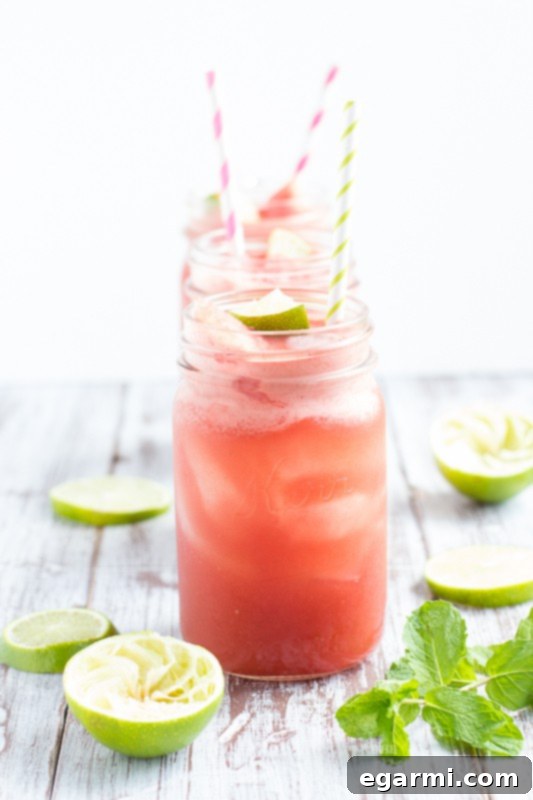 Watermelon Mint Cooler with Mint Garnish