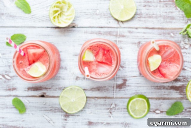 Watermelon Mint Cooler Blender Process | Adding Ingredients