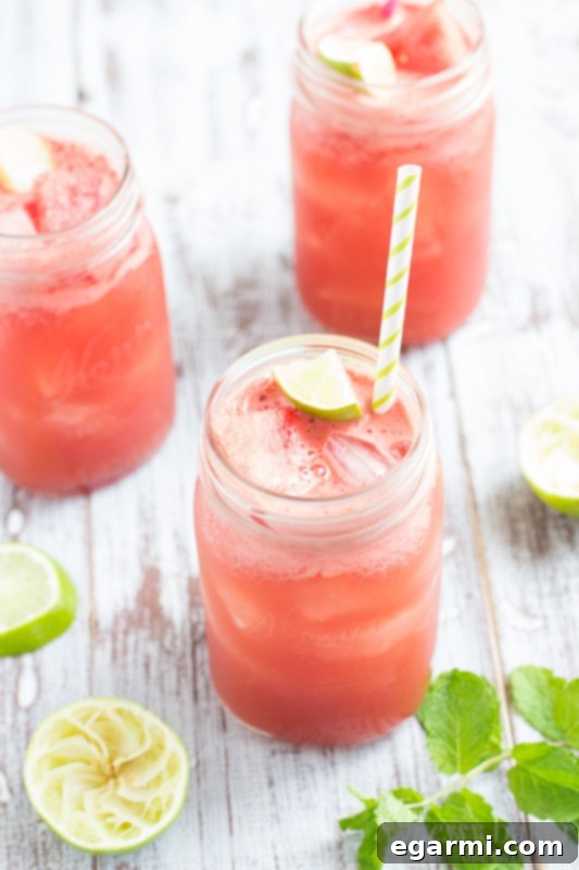 Watermelon Mint Cooler Finished Drink | Garnish Ideas